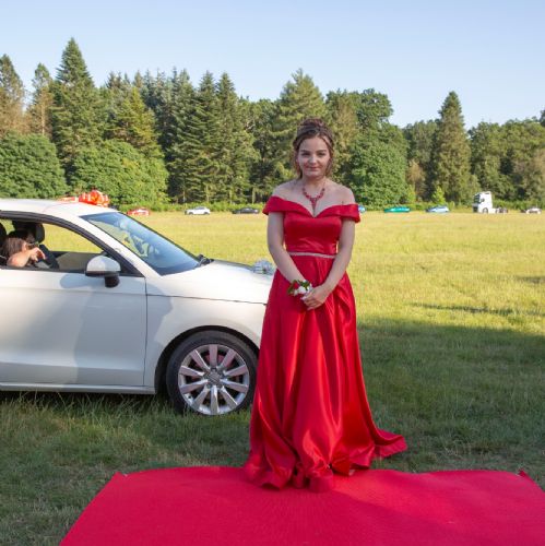 Prom113)
