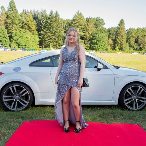 Prom233)