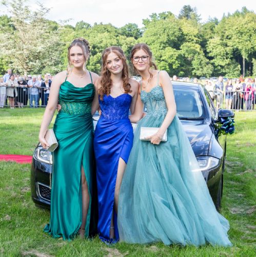 Prom2024041)