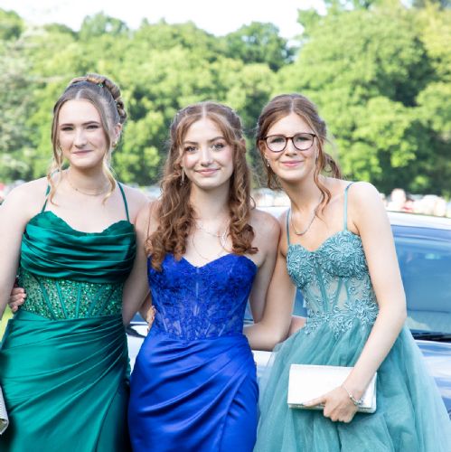 Prom2024051)