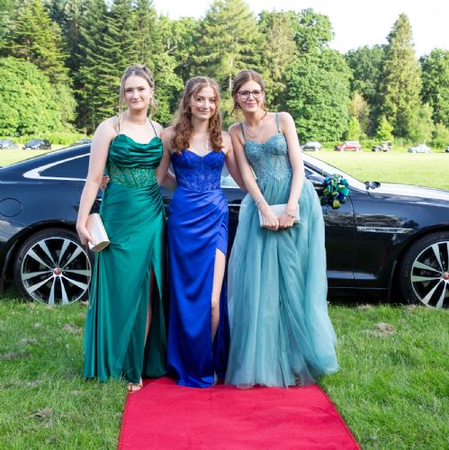 Prom2024061)