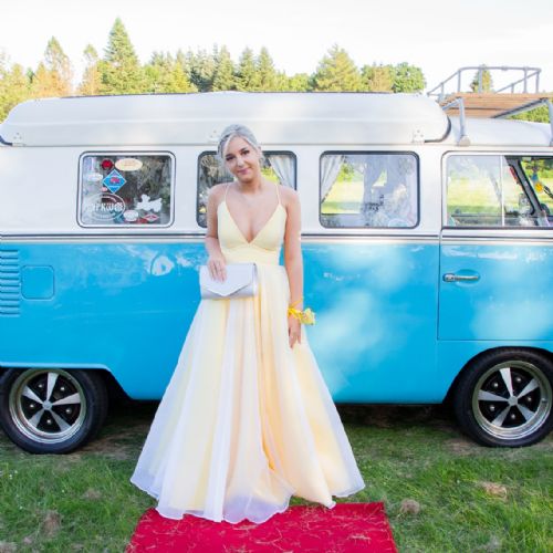 Prom20242011)
