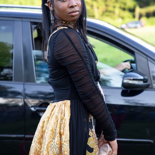 Prom20242141)