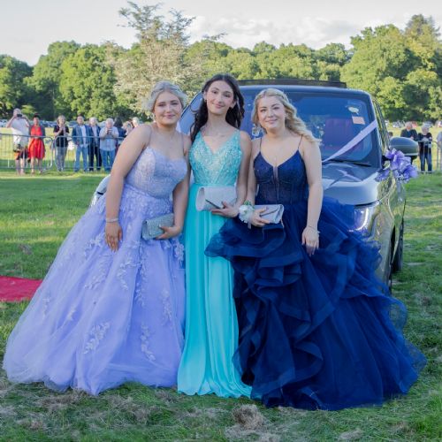 Prom20242381)