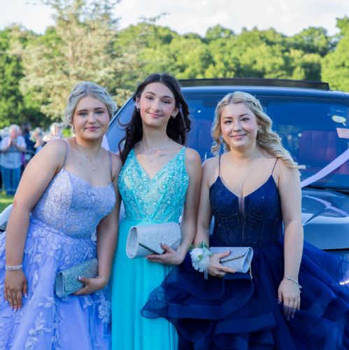 Prom20242391)