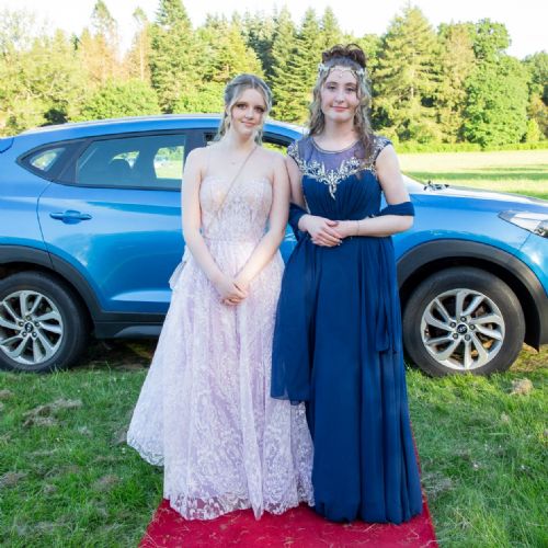 Prom20242481)