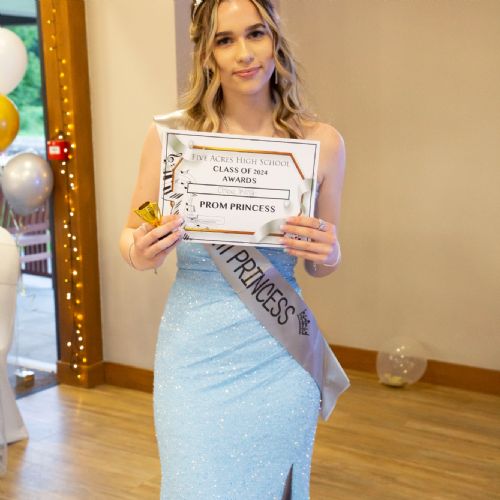 Prom20243121)