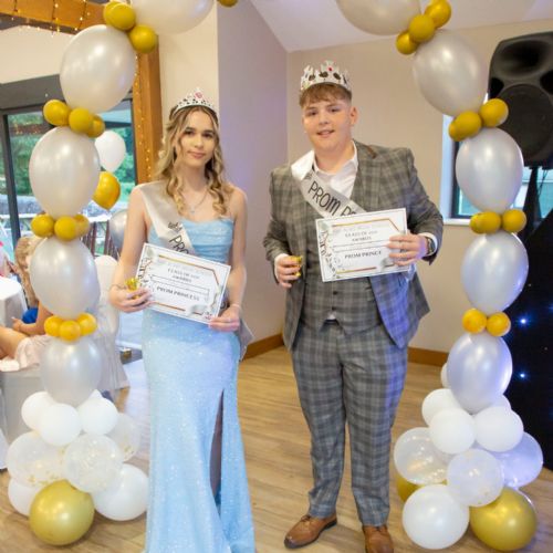 Prom20243131)