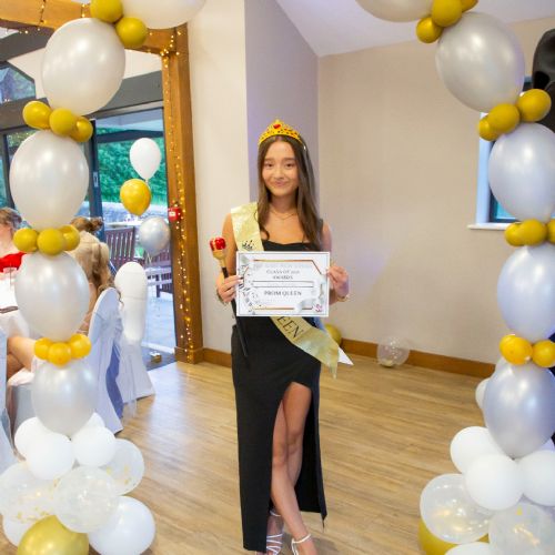 Prom20243161)