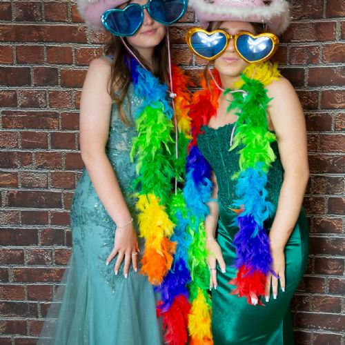 Prom20243841)
